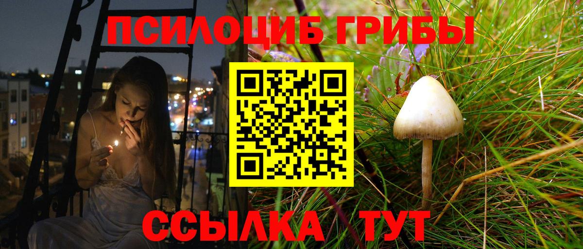 Галлюциногенные грибы GOLDEN TEACHER  Вход с VPN  Галлюциногенные грибы ЛСД  Петропавловск-Камчатский 