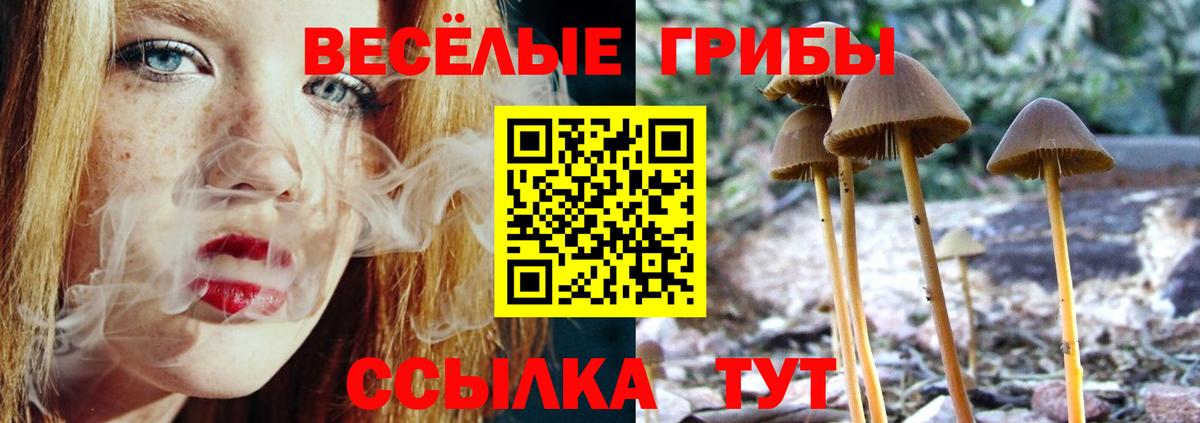 Псилоцибиновые грибы ЛСД Петропавловск-Камчатский